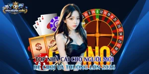 Top nhà cái cho người mới